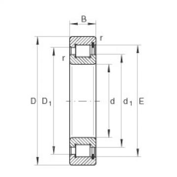 Rodamiento SL182211 INA