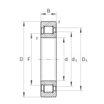 Rodamiento SL192317 INA