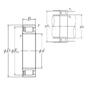 Rodamiento NCF29/500V NSK