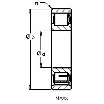 Rodamiento N2205 AST