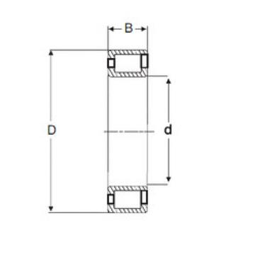 Rodamiento NCF 3024 V SIGMA