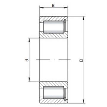 Rodamiento NCF1852 V CX