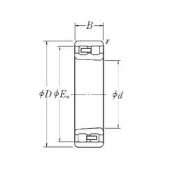 Rodamiento NN 3013 K NSK