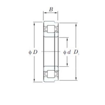 Rodamiento NUP1056 KOYO