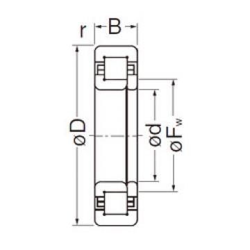 Rodamiento NUP304EG NACHI