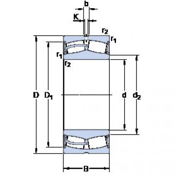 Rodamientos 24124-2CS5/VT143 SKF