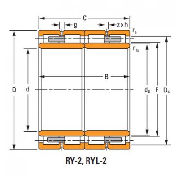 Bearing 190ryl1528