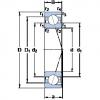 Rodamiento 7003 CD/HCP4A SKF