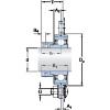 Rodamiento PF 1. FM SKF