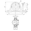 Rodamiento RAKY1-1/4-206 INA