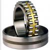 Bearing NNU4080MAW33 NNU4148MAW33 #1 small image