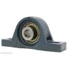 FHSLP202-10G Pillow Block Low Shaft Height 5/8&#034; Ball Bearings Rolling