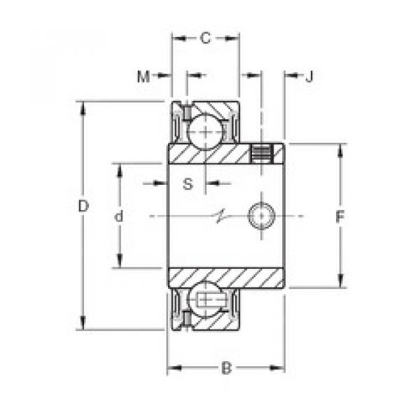 Rodamiento GYA115RR2 Timken #1 image