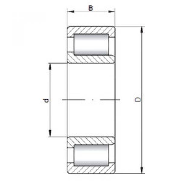 Rodamiento NJF2313 V CX #1 image