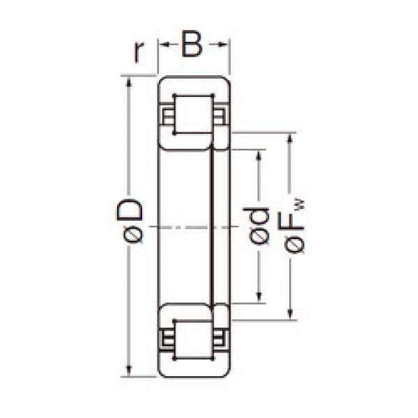 Rodamiento NUP304EG NACHI #1 image