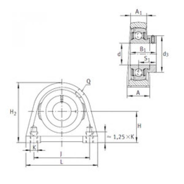 Rodamiento PSHE17 INA #1 image